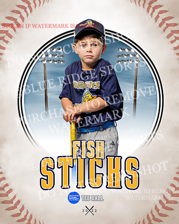 FISH STICKS 031 of 46
