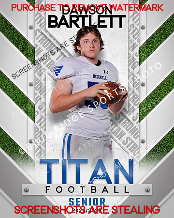 DAWSONBARTLETT