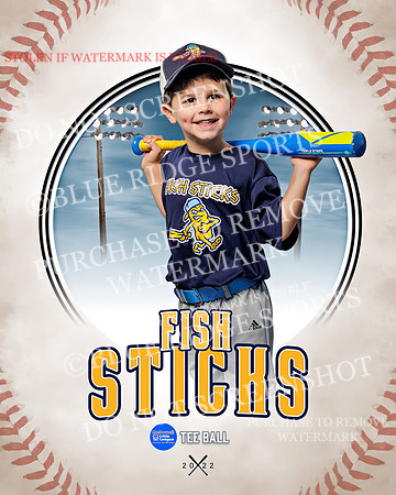 FISH STICKS 030 of 46