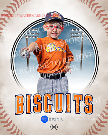 BISCUITS 007 of 45