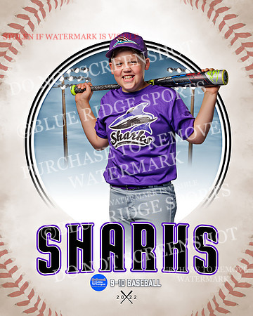 SHARKS 014 of 28