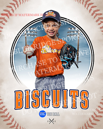 BISCUITS 041 of 45