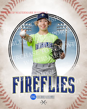 FIREFLIES 017 of 18