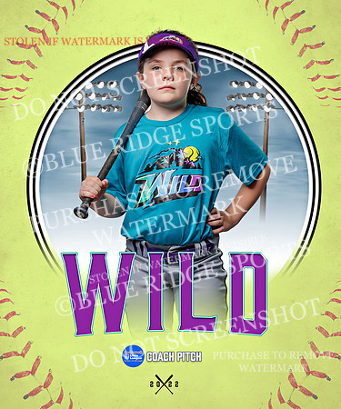 WILD 031 of 43