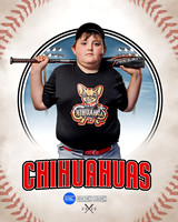 CHIHUAUAS 023 of 33