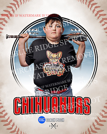 CHIHUAUAS 023 of 33