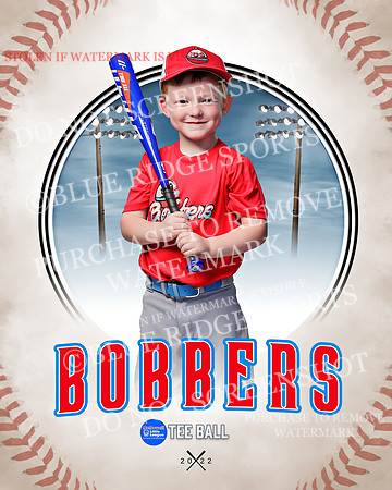BOBBERS 006 of 45