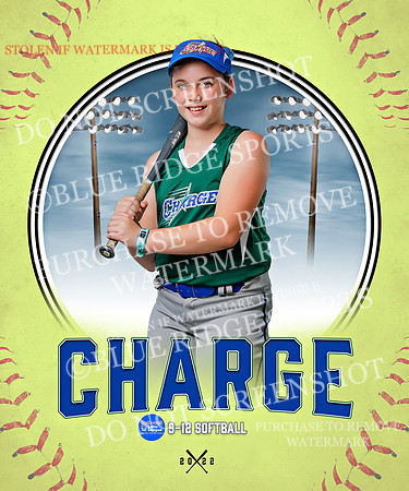CHARGE 036 of 52