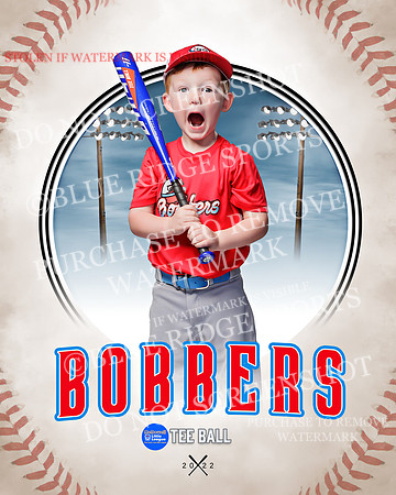 BOBBERS 005 of 45