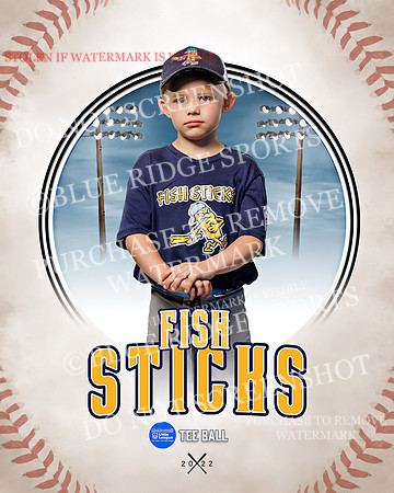 FISH STICKS 026 of 46