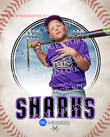 SHARKS 015 of 28