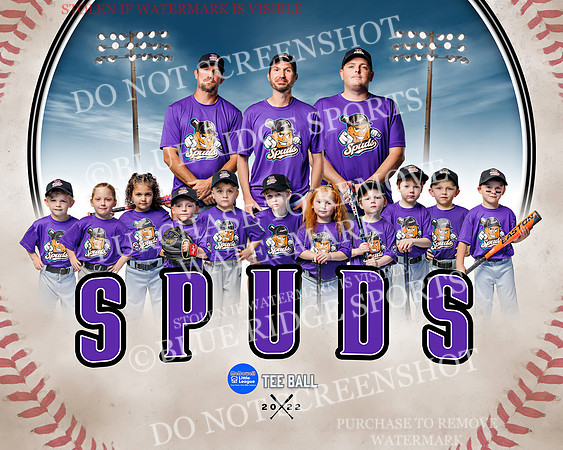 spuds.team
