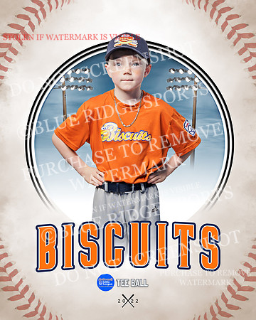 BISCUITS 009 of 45