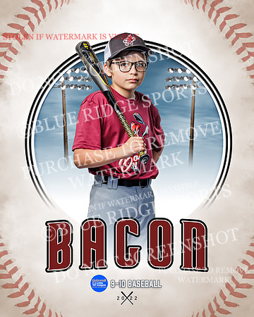 BACON 020 of 33