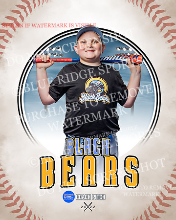BLACK BEARS 001 of 1