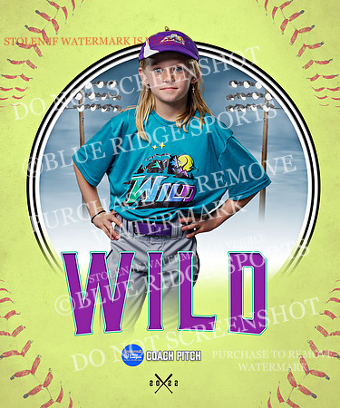 WILD 035 of 43