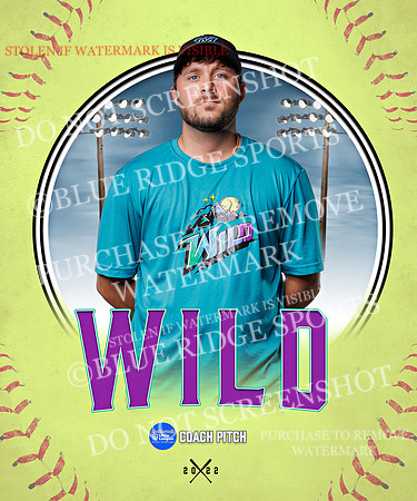 WILD 040 of 43