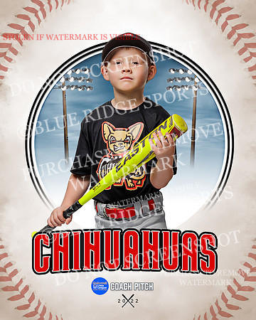 CHIHUAUAS 030 of 33