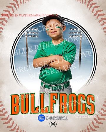 BULLFROGS 034 of 38