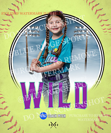 WILD 024 of 43