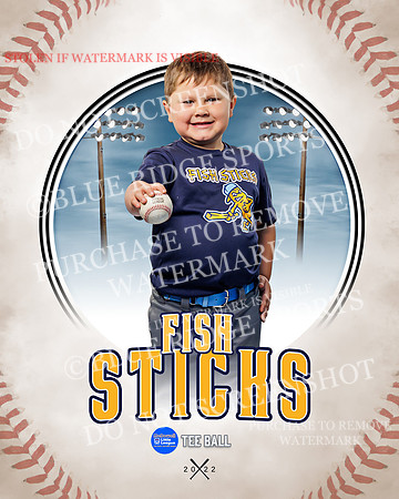 FISH STICKS 034 of 46