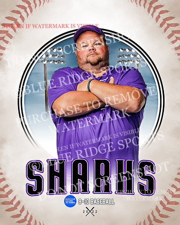 SHARKS 018 of 28