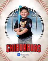 CHIHUAUAS 017 of 33