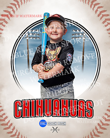 CHIHUAUAS 017 of 33