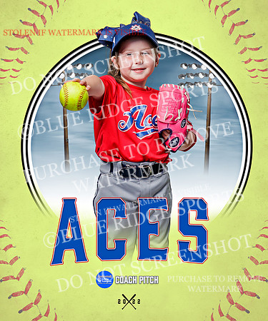 ACES 013 of 34