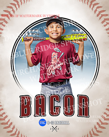 BACON 022 of 33