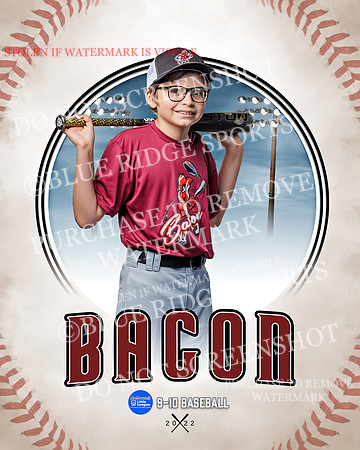BACON 019 of 33