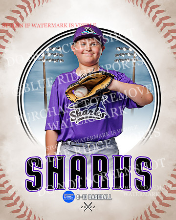 SHARKS 010 of 28