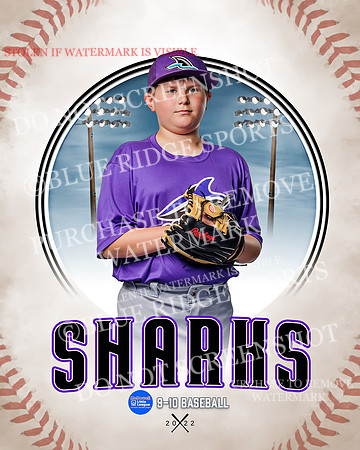 SHARKS 011 of 28