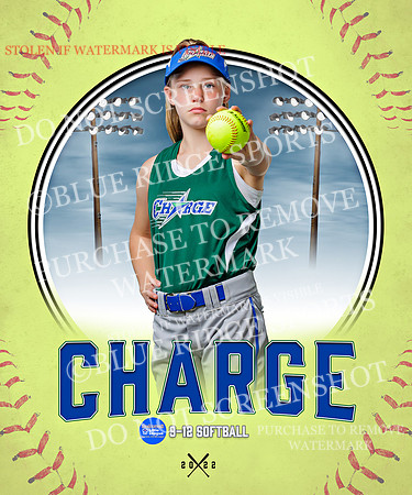 CHARGE 012 of 52