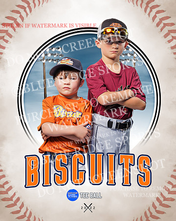 BISCUITS 002 of 45