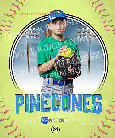 PINECONES 011 of 41