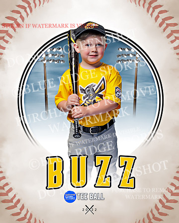 BUZZ 005 of 33