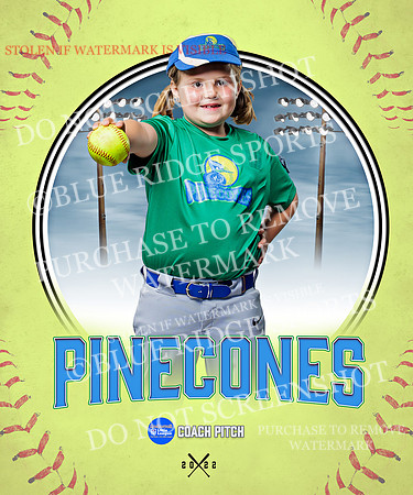 PINECONES 019 of 41