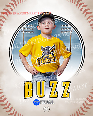 BUZZ 009 of 33