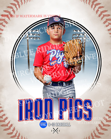IRON PIGS 030 of 38