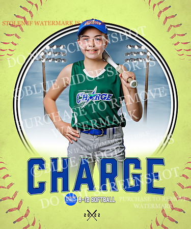 CHARGE 042 of 52
