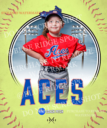 ACES 014 of 34