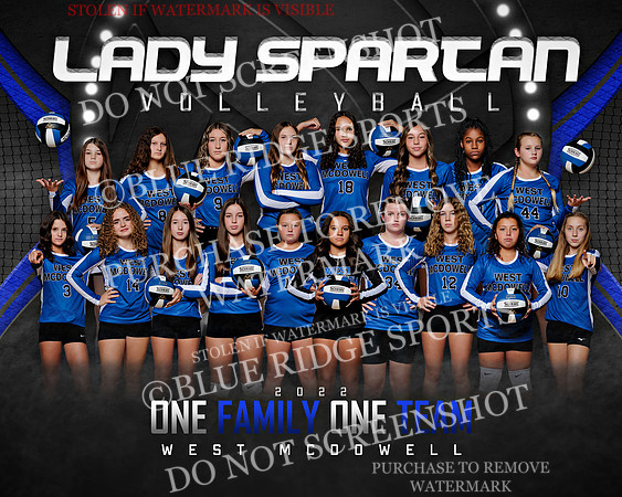 volleyball.team.wmms