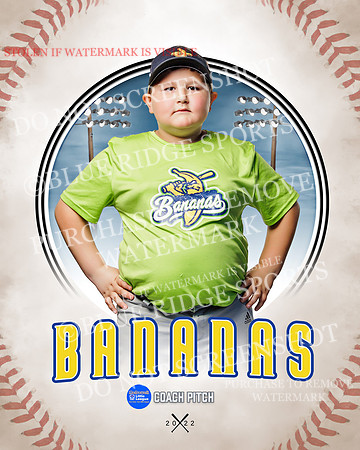 BANANAS 037 of 41