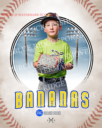 BANANAS 021 of 41