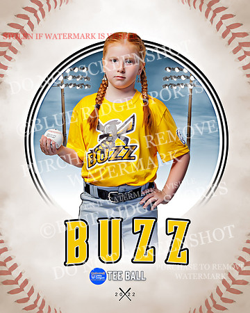 BUZZ 011 of 33