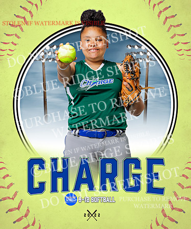 CHARGE 048 of 52