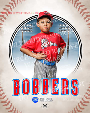 BOBBERS 010 of 45