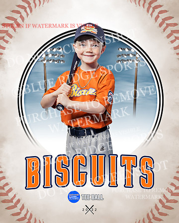BISCUITS 010 of 45