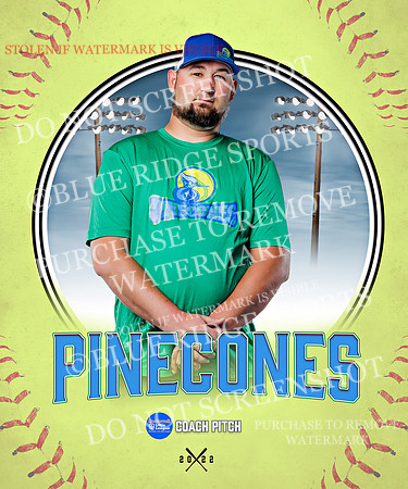 PINECONES 002 of 41
